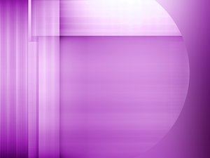 SEO优化